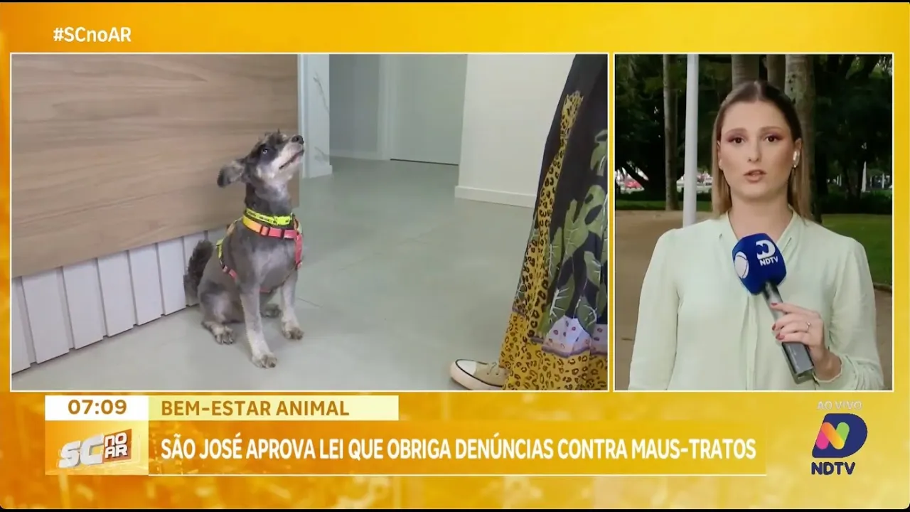 São José aprova lei que obriga denúncias de maus-tratos contra animais