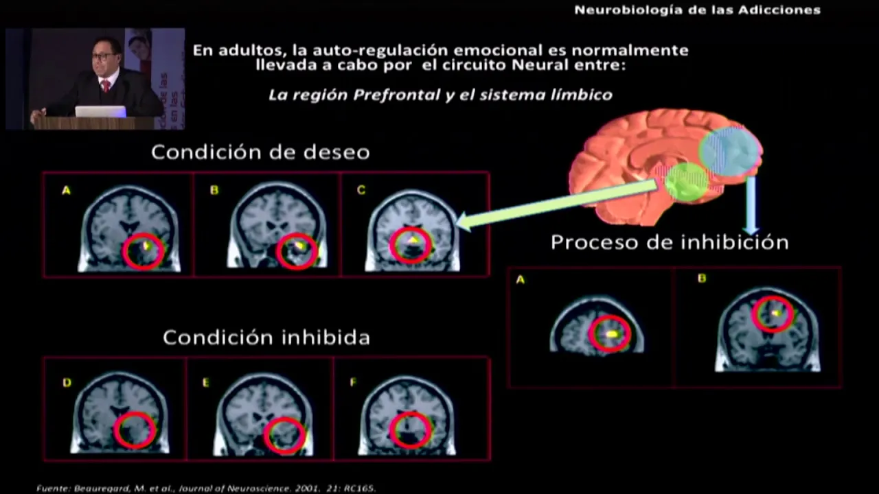 7mo Simposio RIECA Conferencia Magistral, Adicciones y Cerebro