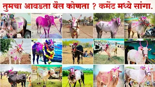 part 1 mh bailgada sharyat