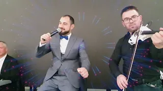 denis belecciu m a miau cover version belecciuband