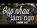 Lagu Gặp Nhau Làm Ngơ - Tuấn Vũ (Tác giả: Trần Thiện Thanh) | Nhạc Vàng Xưa Bất Hủ