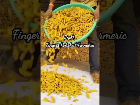 How to export Turmeric | import export businesss | Harsh Dhawan