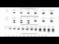 US Air Force Enlisted Rank Insignia Updated