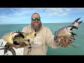 Crabs Worth 100s of Dollars Florida Keys Stone Crab - Catch Cook