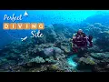Download Lagu 🤿 Mind-Blowing SCUBA DIVING in the Banda Neira Islands 🇮🇩