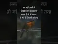 Download Lagu subhanallah jo ho raha hai pehli dafa hai😊😟| #shorts