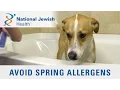 How to Keep Pollen Allergens Outside