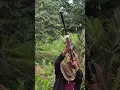Download Lagu hunting burung punai#berburu