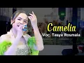 Download Lagu TERBARU!! INSTRUMENT ASYIK TASYA ROSMALA - CAMELIA || LIVE IN PEMALANG