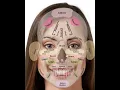 Face Reflexology - Intuitive Massage with Charlene