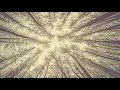 Download Lagu Low Key Tech/ Melodic Techno Mix by Dr. Gaertner