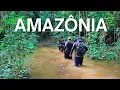 MUITA CHUVA, INVERNO AMAZÔNICO | ESSE é o PERÍODO mais DIFÍCIL na AMAZÔNIA