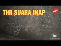 Download Lagu Hambur Suara Inap walet pemakaian PRIBADI Semoga Petani Walet tidak galau lagi