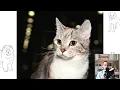 Munchkin cat or Sausage cat Pros and Cons Price How to choose Facts Care History