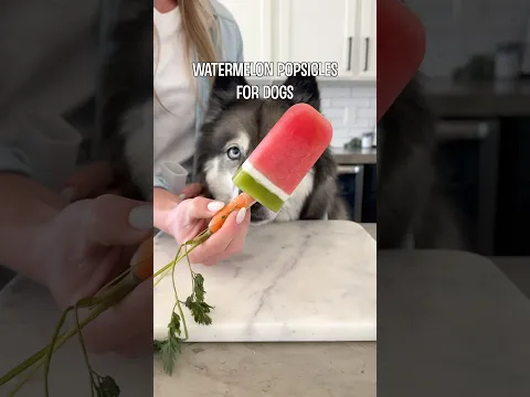 The Perfect Summer Dog Treat!