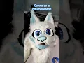 Download Lagu $30 fursuit?!? #antizoo #fursuit #furry #fursuiters