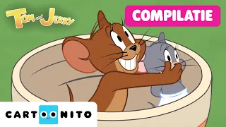 Poetschaos en stormgrappen! 😂 Tom & Jerry-compilatie | Tom & Jerry Show | Cartoonito