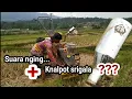 Lagu Traktor sawah memakai knalpot srigala.