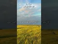 Download Lagu #deensayings #IslamicReminder #Alhamdulillah #SubhanAllah #Astaghfirullah #YaAllah #Jannah #Deen