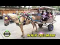 Download Lagu NAIK DELMAN ISTIMEWA ~ Naik KUDA Naik DELMAN | Wisata KUDA Paling VIRAL di Jakarta Timur