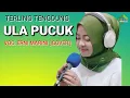 Lagu ULA PUCUK - ERNI MARINI [ COVER ] TARLING TENGDUNG