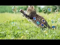 Powerball Reveal June 28 2026