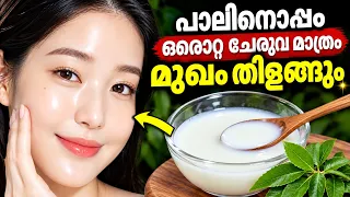 പാലിനൊപ്പം ഈ ഒരു ചേരുവ ചേർത്ത് തേച്ചു നോക്കൂ മുഖം സ്വർണ്ണം പോലെ തിളങ്ങും