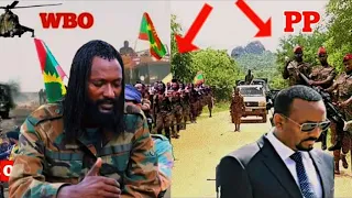 Ajajaa ABO WBO JAAL Marroo Dirribaa Hasawa Adda Godhee 