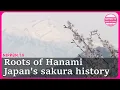 Lagu SAKURA HANAMI: The roots of cherry blossom viewing in Japan (Revised)