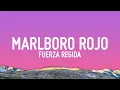 Download Lagu Fuerza Regida - Marlboro Rojo (Letra/Lyrics)