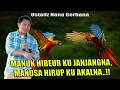 Lagu MANUK HIBEUR KU JANJANGNA,MANUSA HIRUP KU AKALNA  !!
