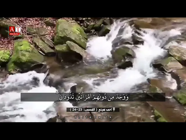 ⁣قَالَ مَا خَطْبُكُمَا ۖ قَالَتَا لَا نَسْقِي حَتَّىٰ يُصْدِرَ الرِّعَاءُ .. || مقطع رهيب. احمد نعينع