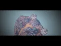 SkerpMC Minecraft Server Trailer