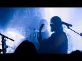 Download Lagu Blood Fire Death — Sea Wolf (live - Brno, Melodka)