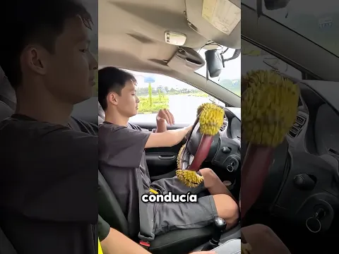 El papá llenó el volante de espinas!