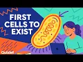 Introduction to Prokaryotic Cells Biology Explained