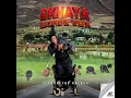 Download Lagu Siphosethu Ndlovu Ekhaya babheke 