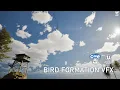 Unreal Bird Formations Niagara VFX