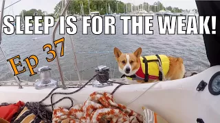 SLEEP IS FOR THE WEAK! | Sailing Wisdom Ep 37
