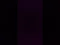 「君がいるからAcid Black Cherry」アライグマ