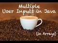 Java Multiple User inputs in Array