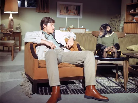 The Barefoot Executive (1971) ♦RARE♦ Theatrical Trailer