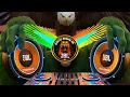 Download Lagu DJ Disco Remix Nonstop 2025🔥#Tiktok #carbass #Dj #Discoremix86