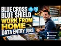 Blue Cross Blue Shield Work From Home Data Entry Jobs Remote Positions Hiring Now