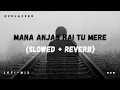 Download Lagu Mana Anjan Hai Tu Mere Vaste (slowed + Reverb) | Alka Yagnik | Lofi Remix | RelaxZen
