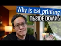 Can HACKING Linux cat make me a better programmer