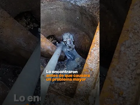 Lo encontraron antes de que causara un problema mayor