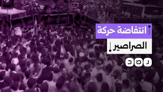 من السخرية الرقمية إلى الشارع    حزب الصراصير  يهز العرش السياسي في الهند دندنها
