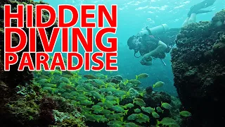 NO ONE Dives Here YOU SHOULD