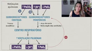 Regulação da Respiração: Quimiorreceptores